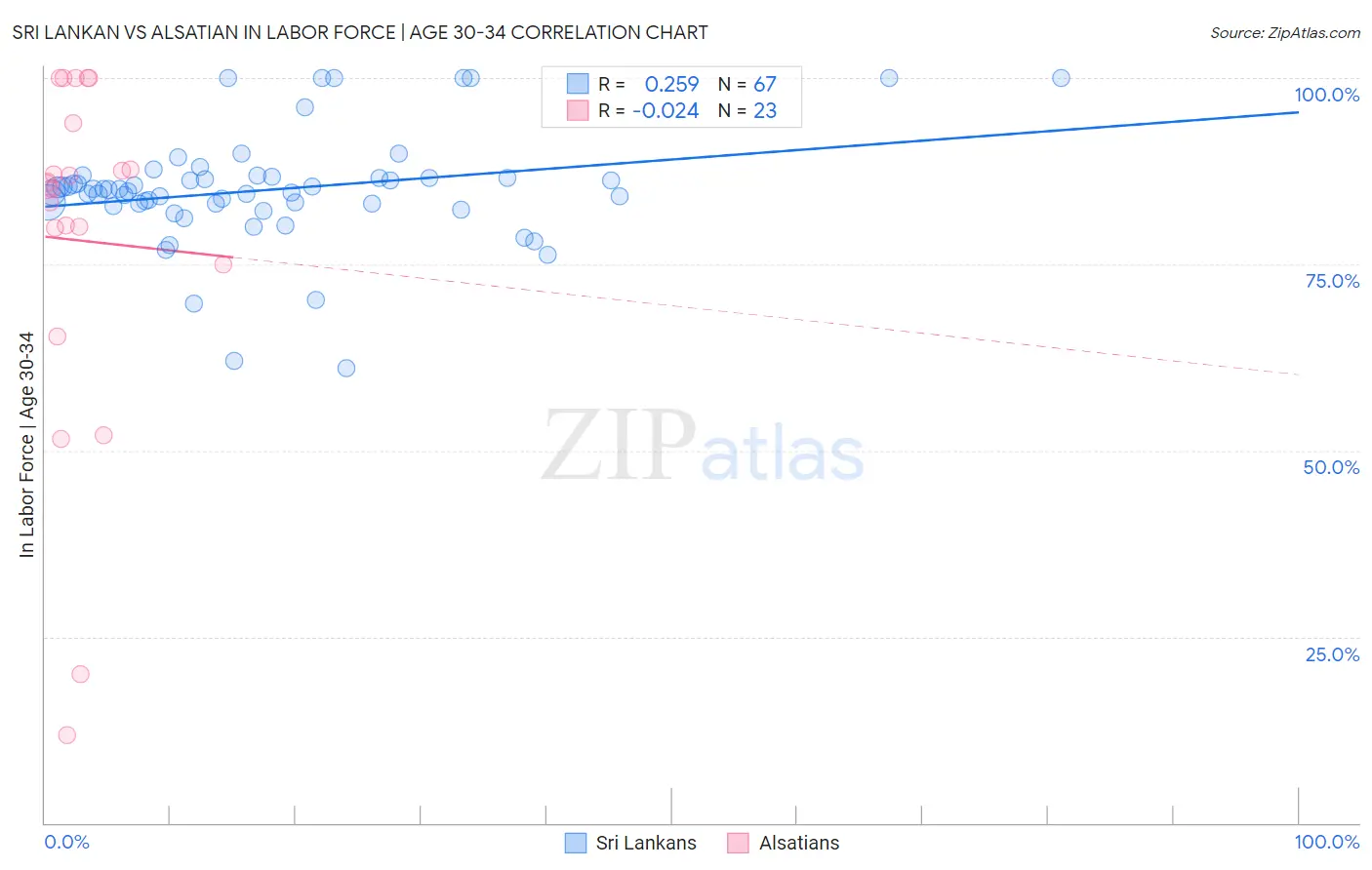 Sri Lankan vs Alsatian In Labor Force | Age 30-34