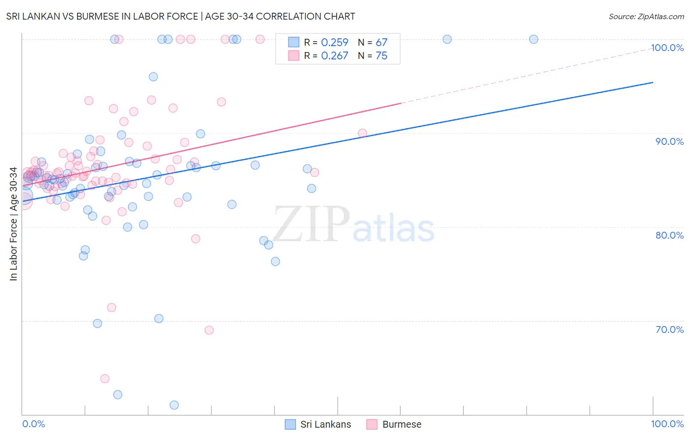 Sri Lankan vs Burmese In Labor Force | Age 30-34