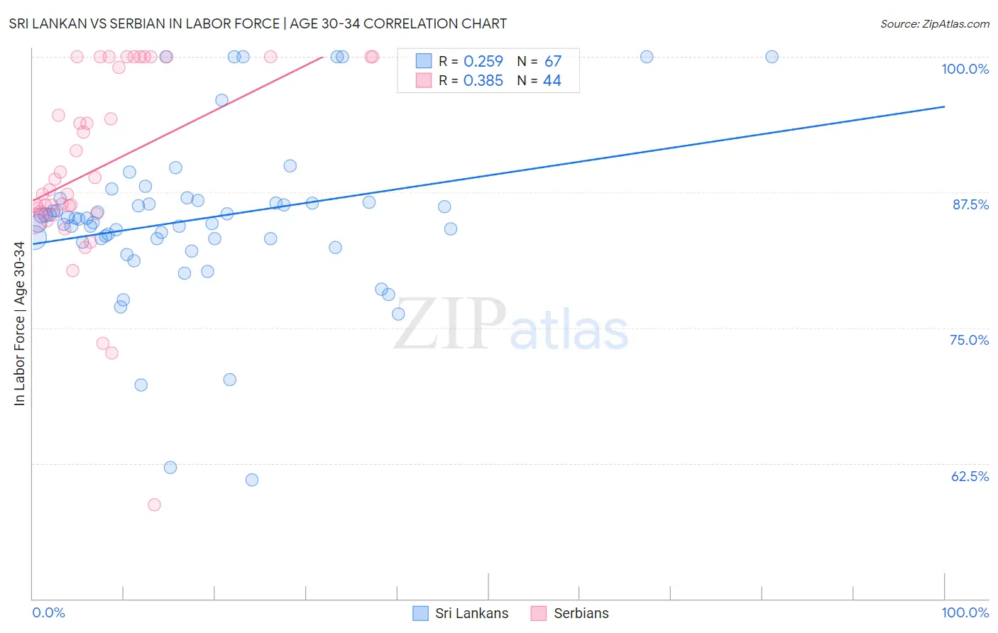 Sri Lankan vs Serbian In Labor Force | Age 30-34