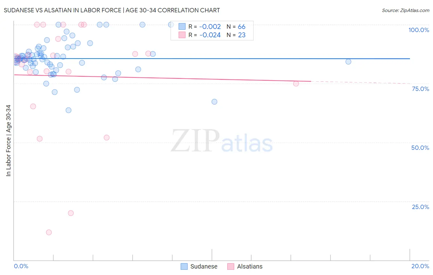 Sudanese vs Alsatian In Labor Force | Age 30-34