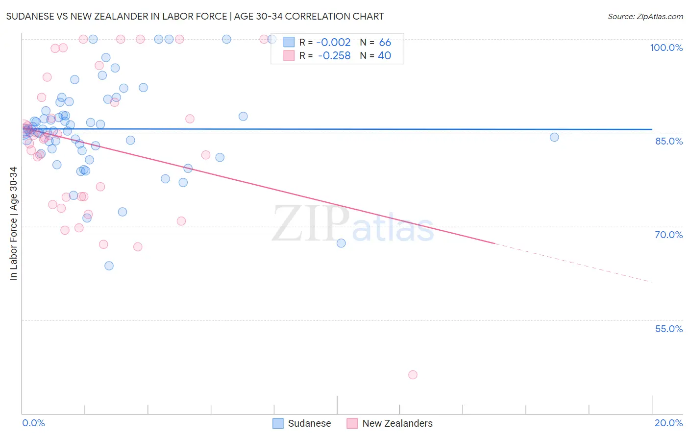 Sudanese vs New Zealander In Labor Force | Age 30-34