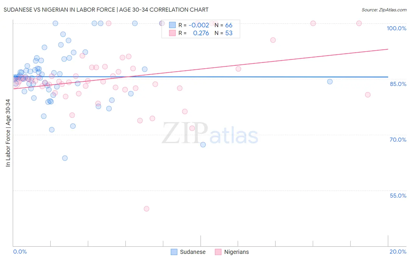 Sudanese vs Nigerian In Labor Force | Age 30-34