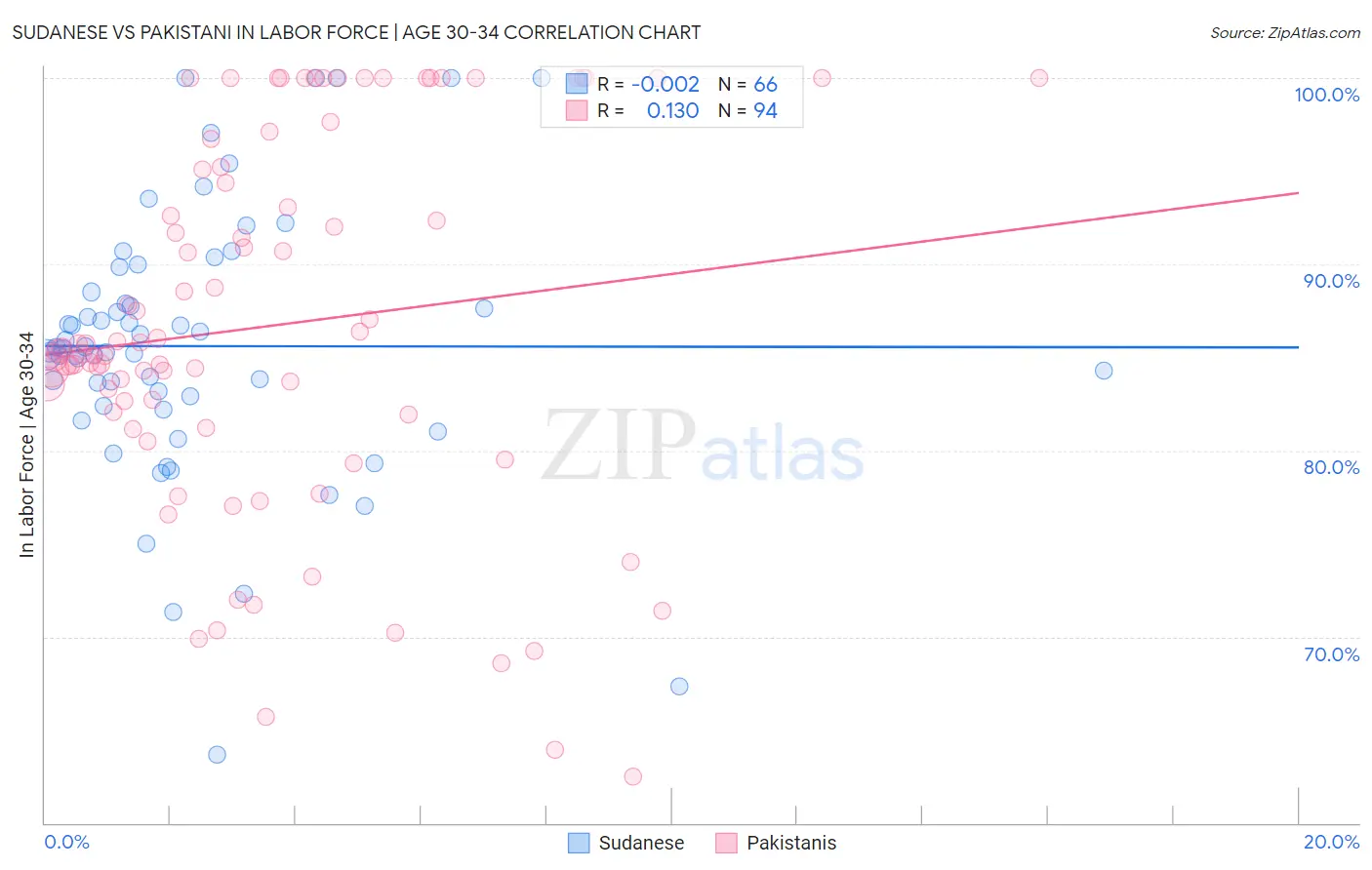 Sudanese vs Pakistani In Labor Force | Age 30-34