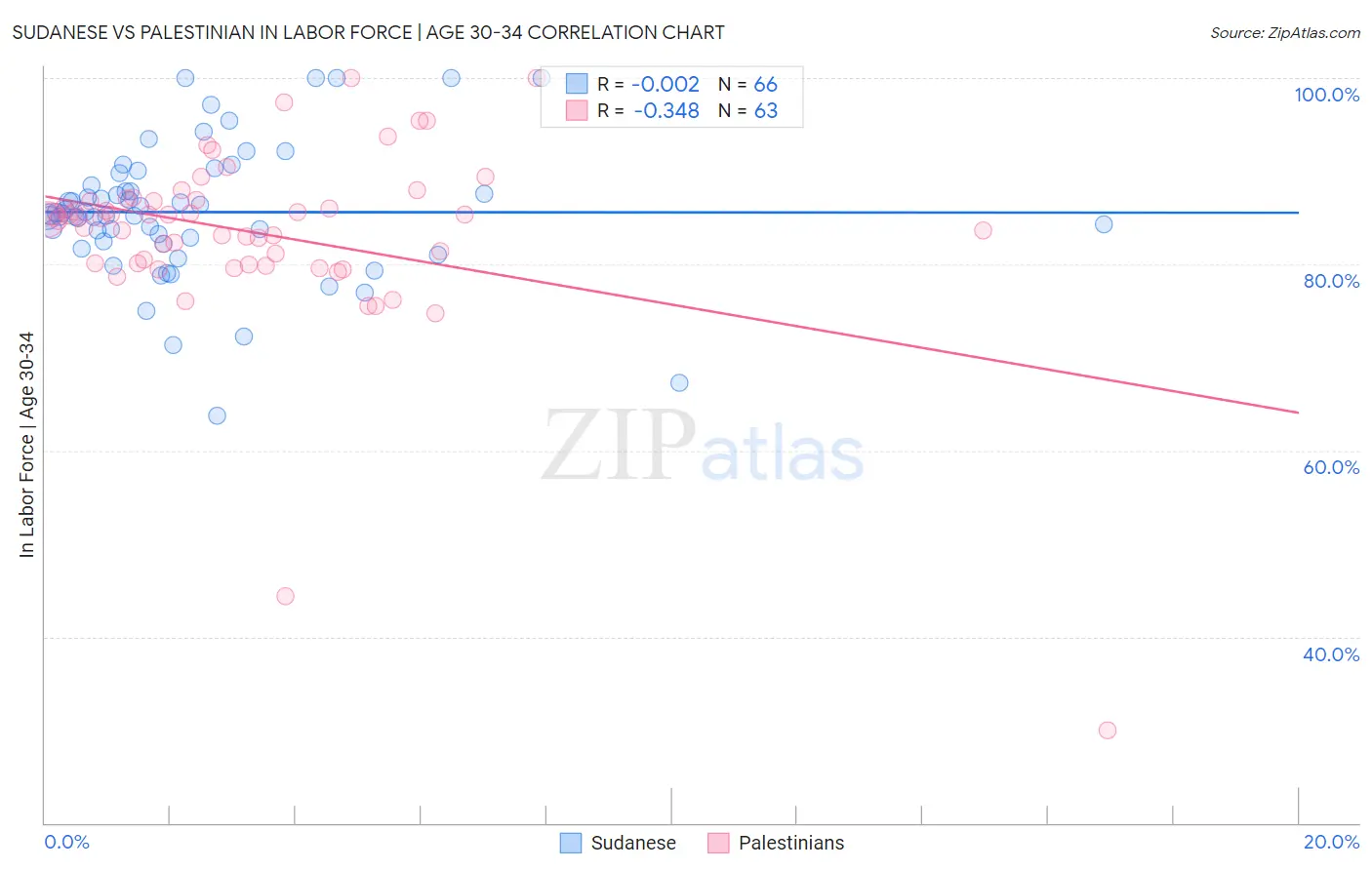 Sudanese vs Palestinian In Labor Force | Age 30-34