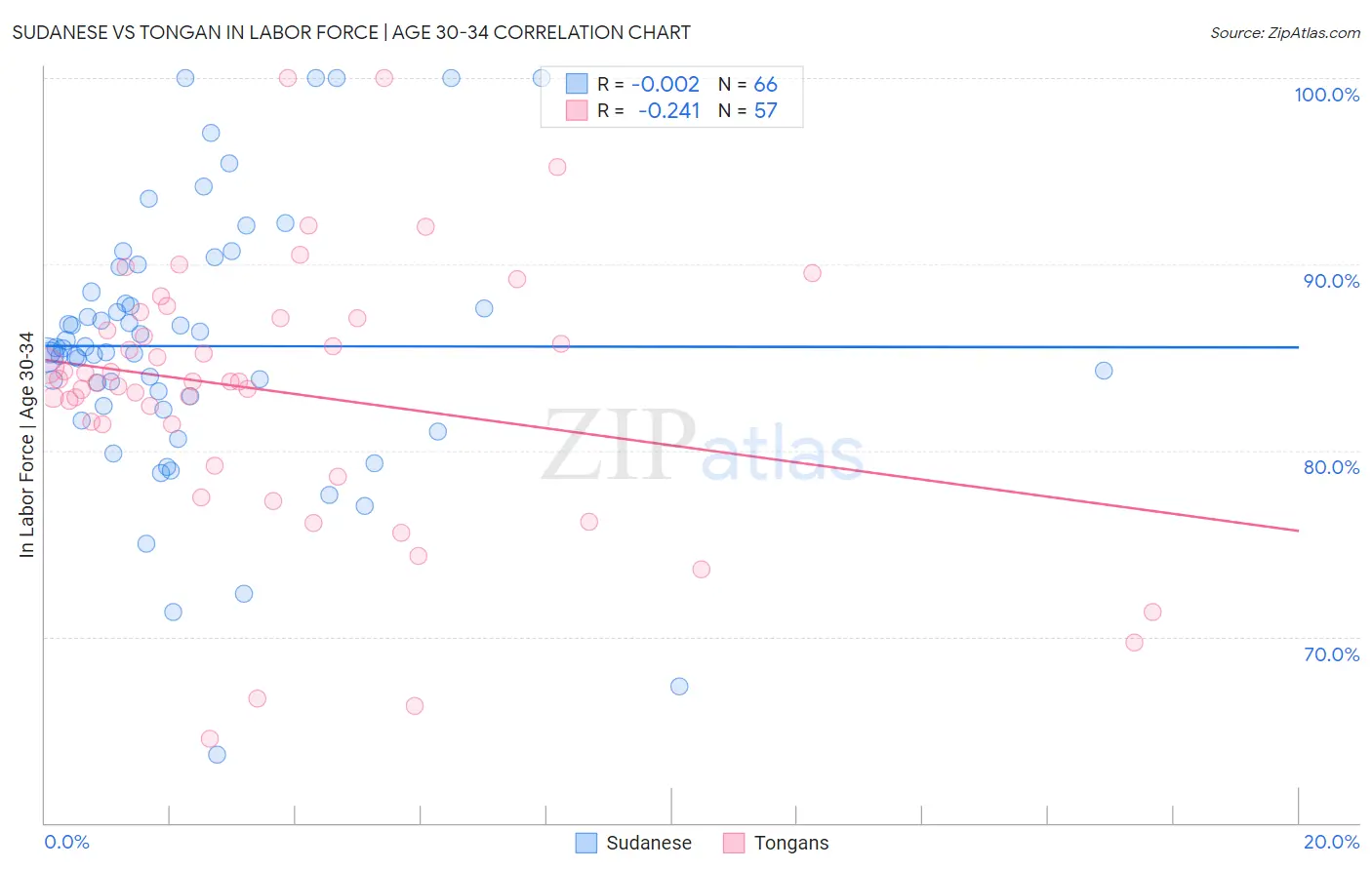 Sudanese vs Tongan In Labor Force | Age 30-34