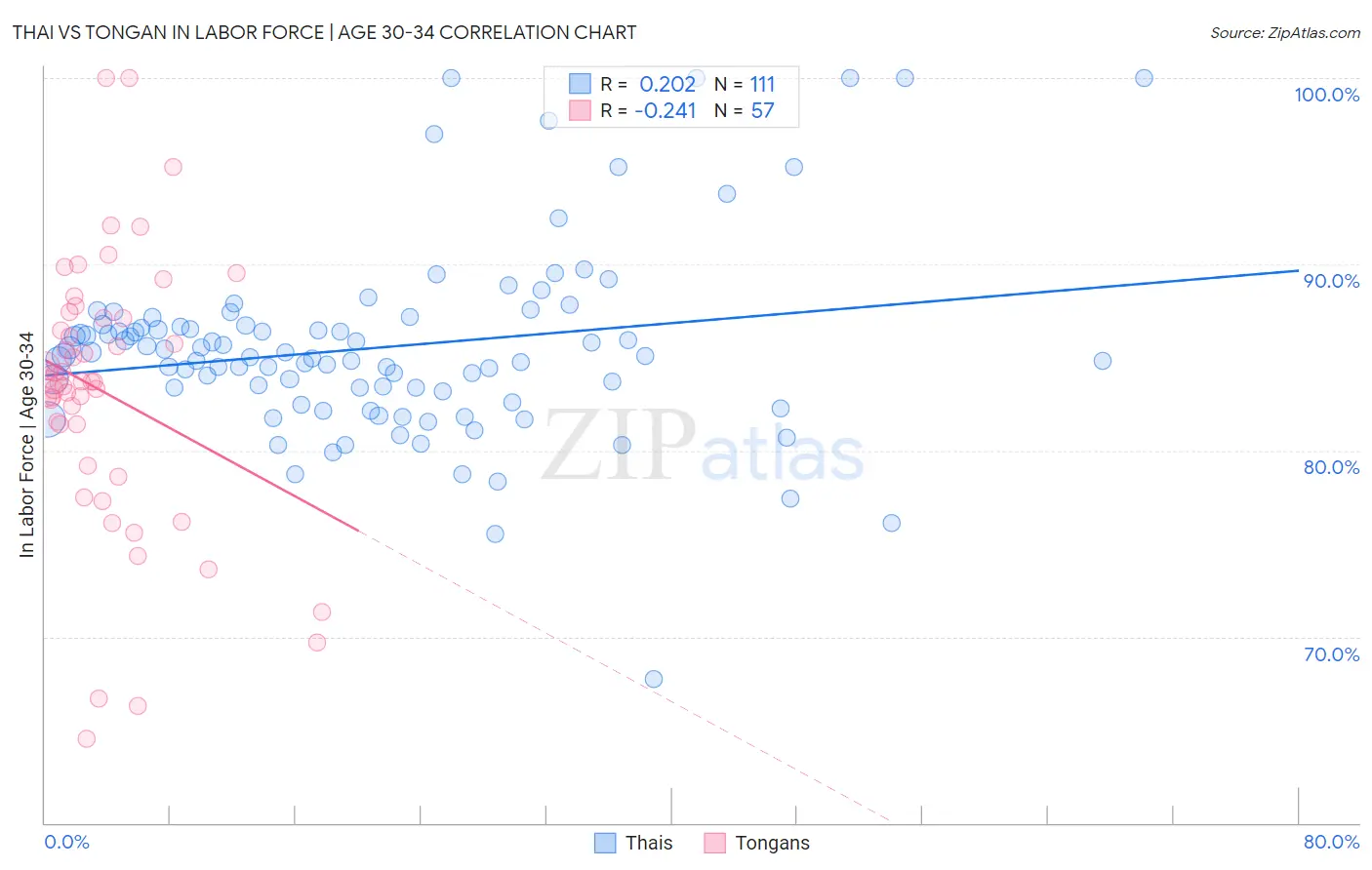 Thai vs Tongan In Labor Force | Age 30-34