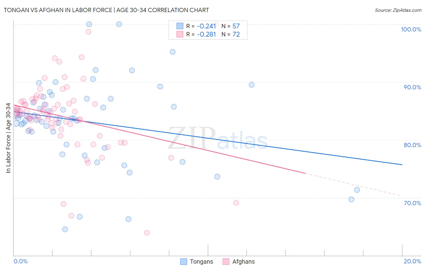 Tongan vs Afghan In Labor Force | Age 30-34