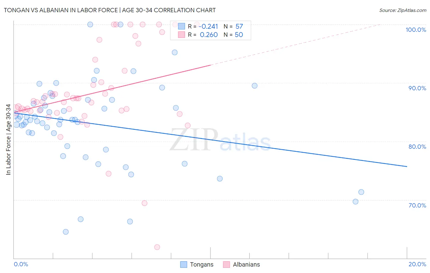 Tongan vs Albanian In Labor Force | Age 30-34