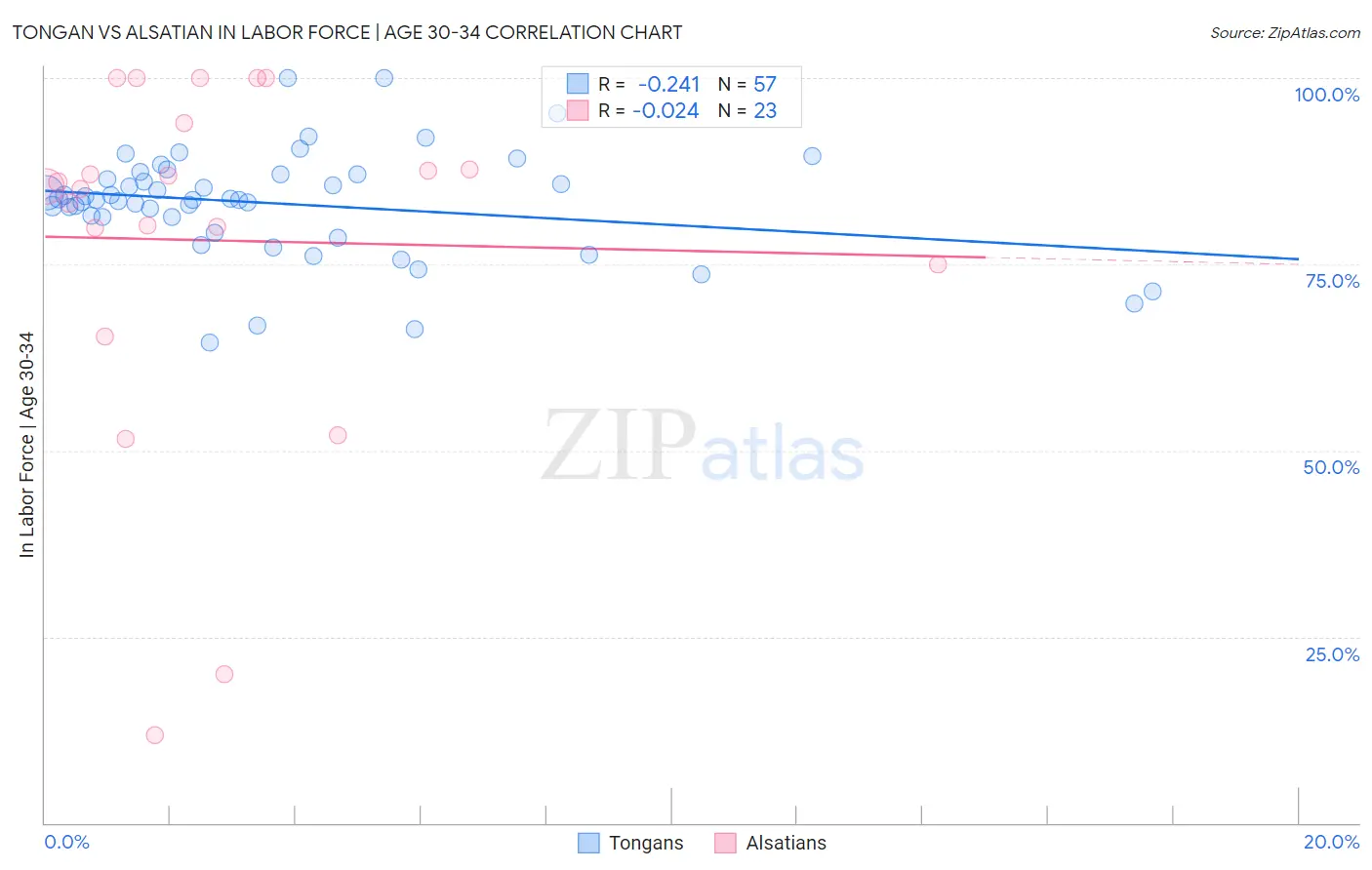 Tongan vs Alsatian In Labor Force | Age 30-34