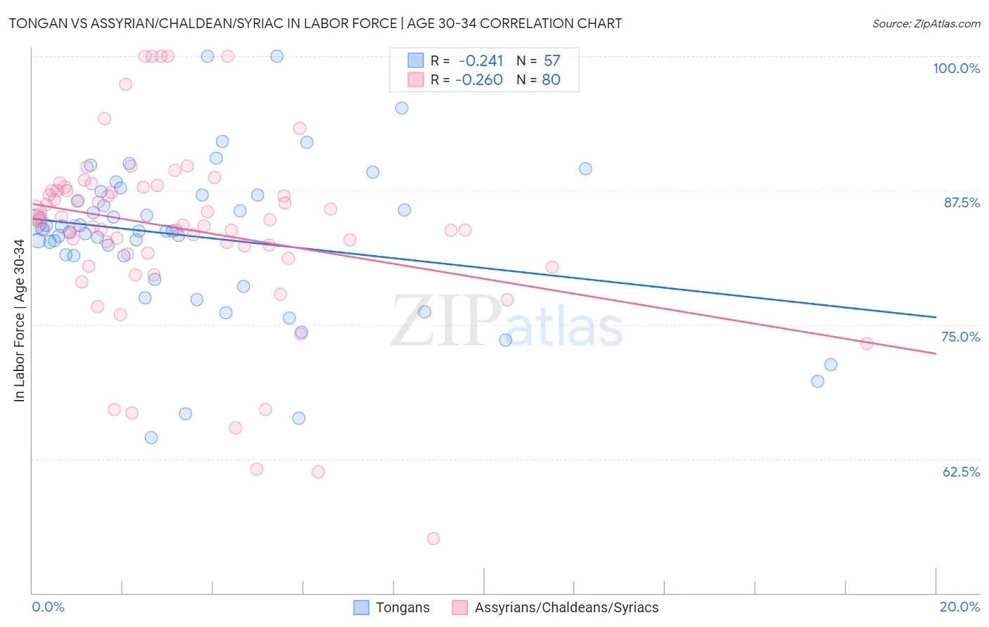 Tongan vs Assyrian/Chaldean/Syriac In Labor Force | Age 30-34