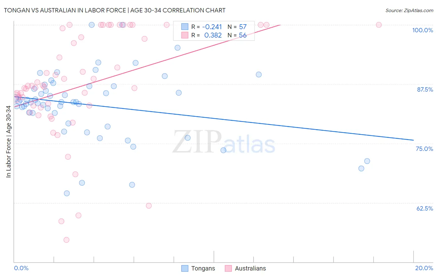 Tongan vs Australian In Labor Force | Age 30-34