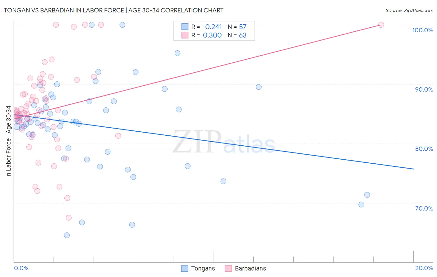 Tongan vs Barbadian In Labor Force | Age 30-34