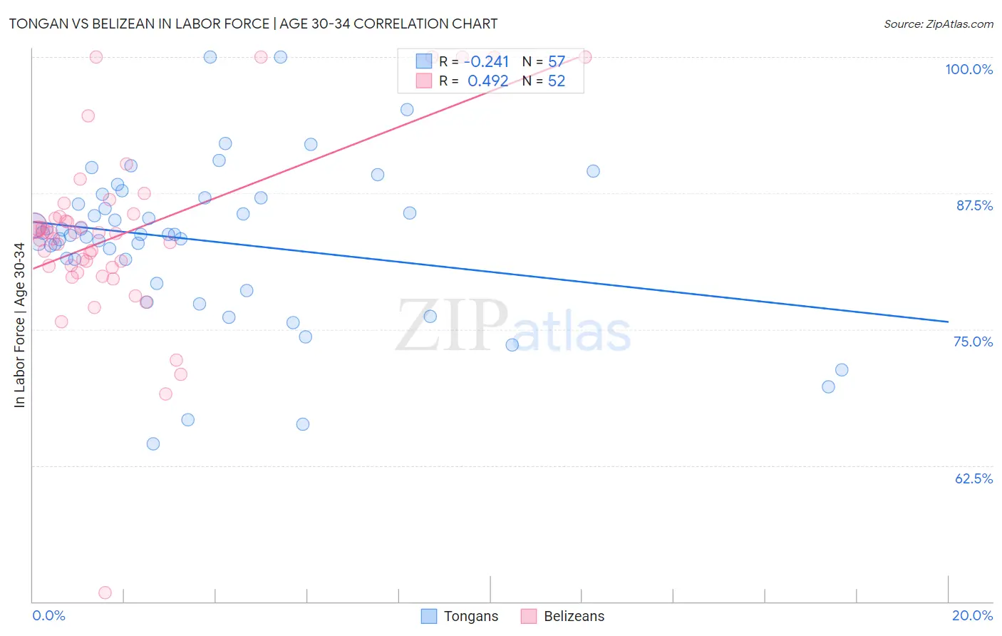 Tongan vs Belizean In Labor Force | Age 30-34