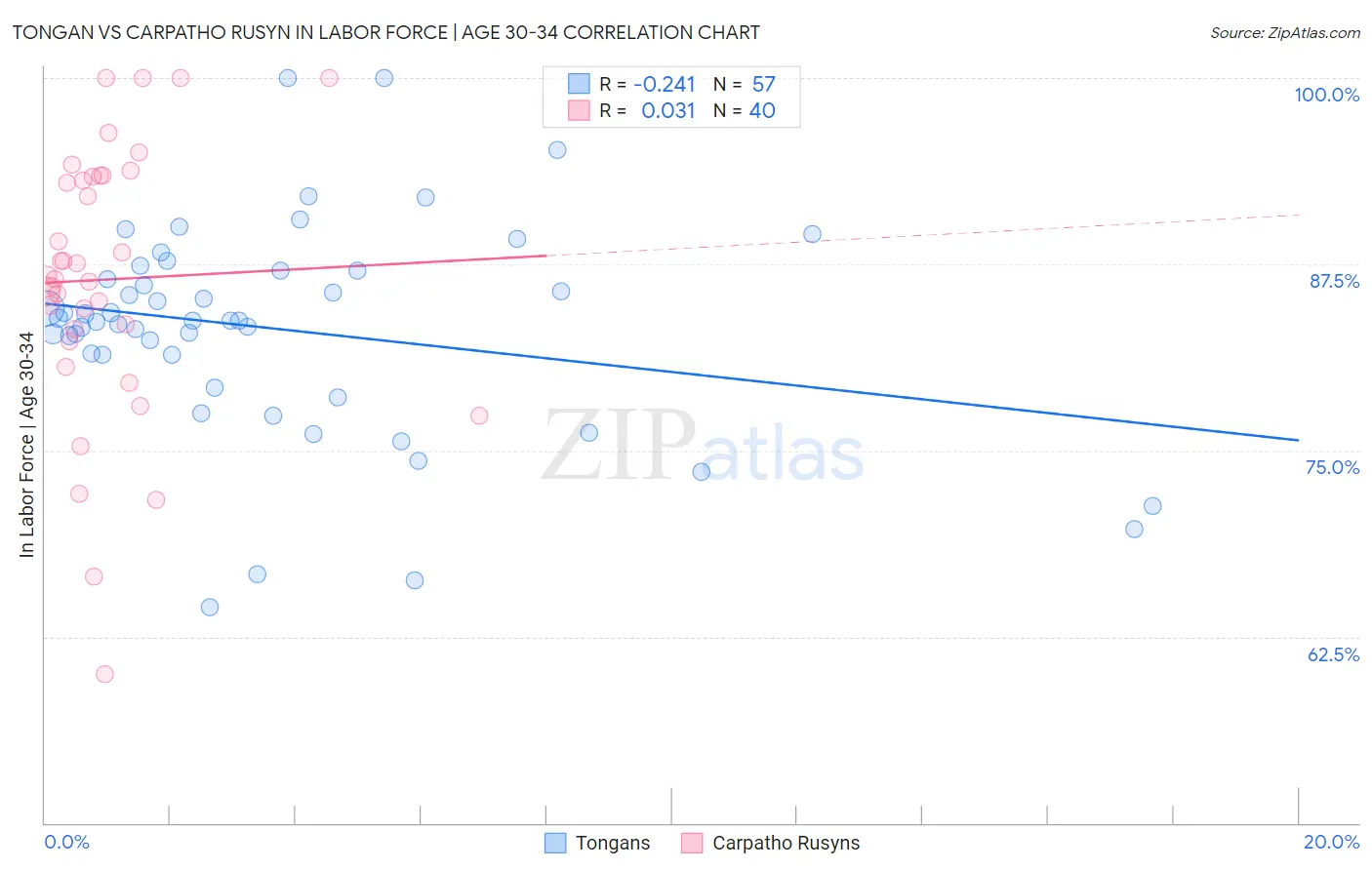 Tongan vs Carpatho Rusyn In Labor Force | Age 30-34