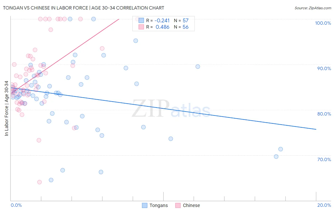 Tongan vs Chinese In Labor Force | Age 30-34