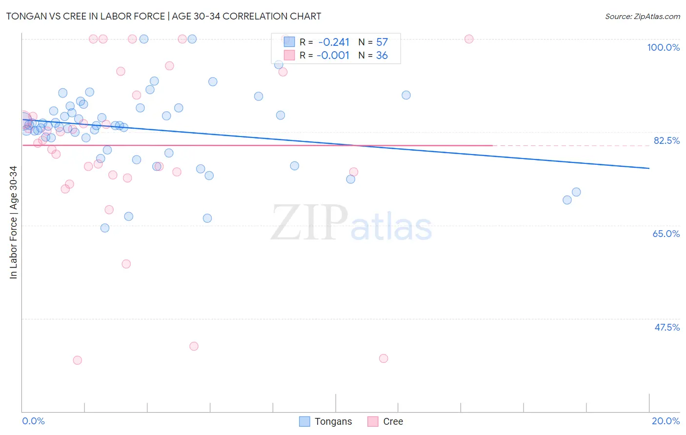 Tongan vs Cree In Labor Force | Age 30-34