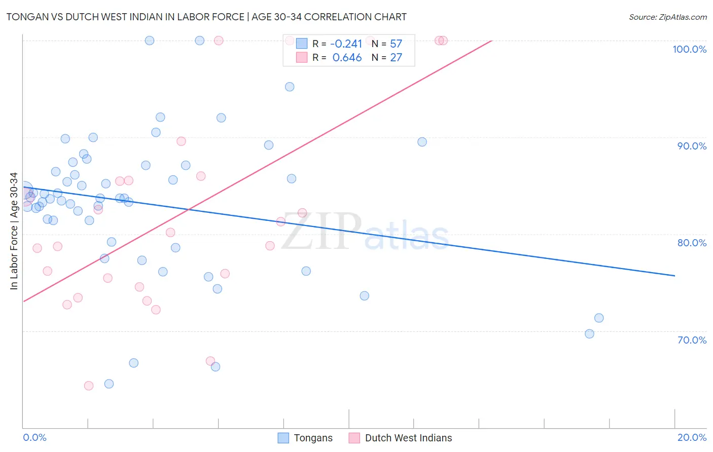 Tongan vs Dutch West Indian In Labor Force | Age 30-34