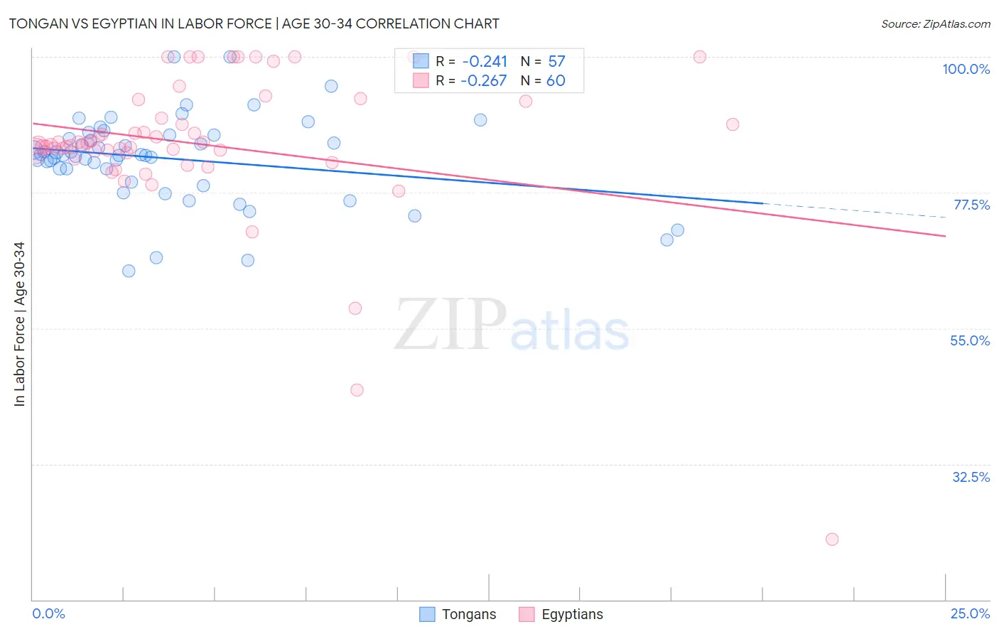 Tongan vs Egyptian In Labor Force | Age 30-34