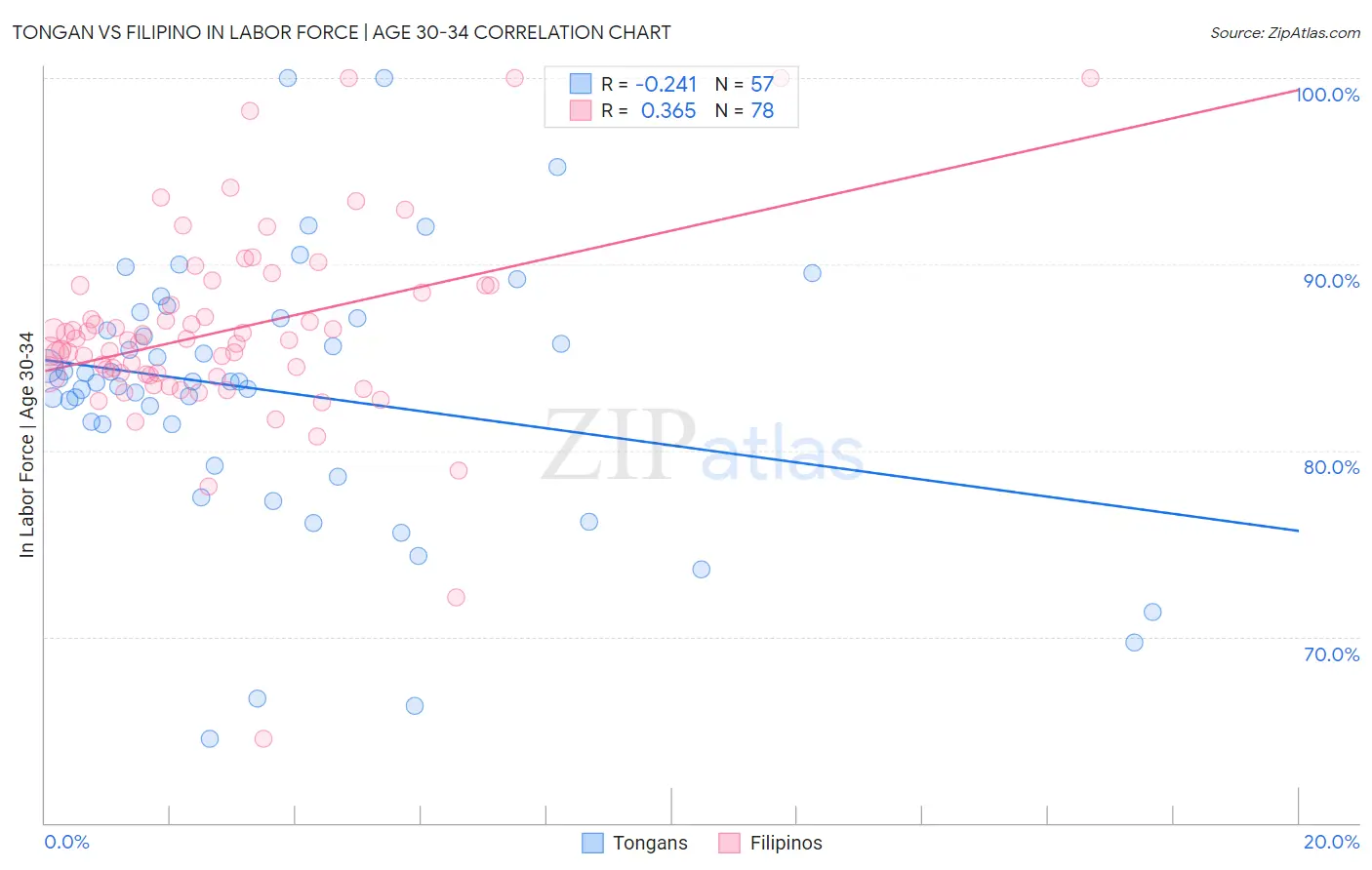 Tongan vs Filipino In Labor Force | Age 30-34