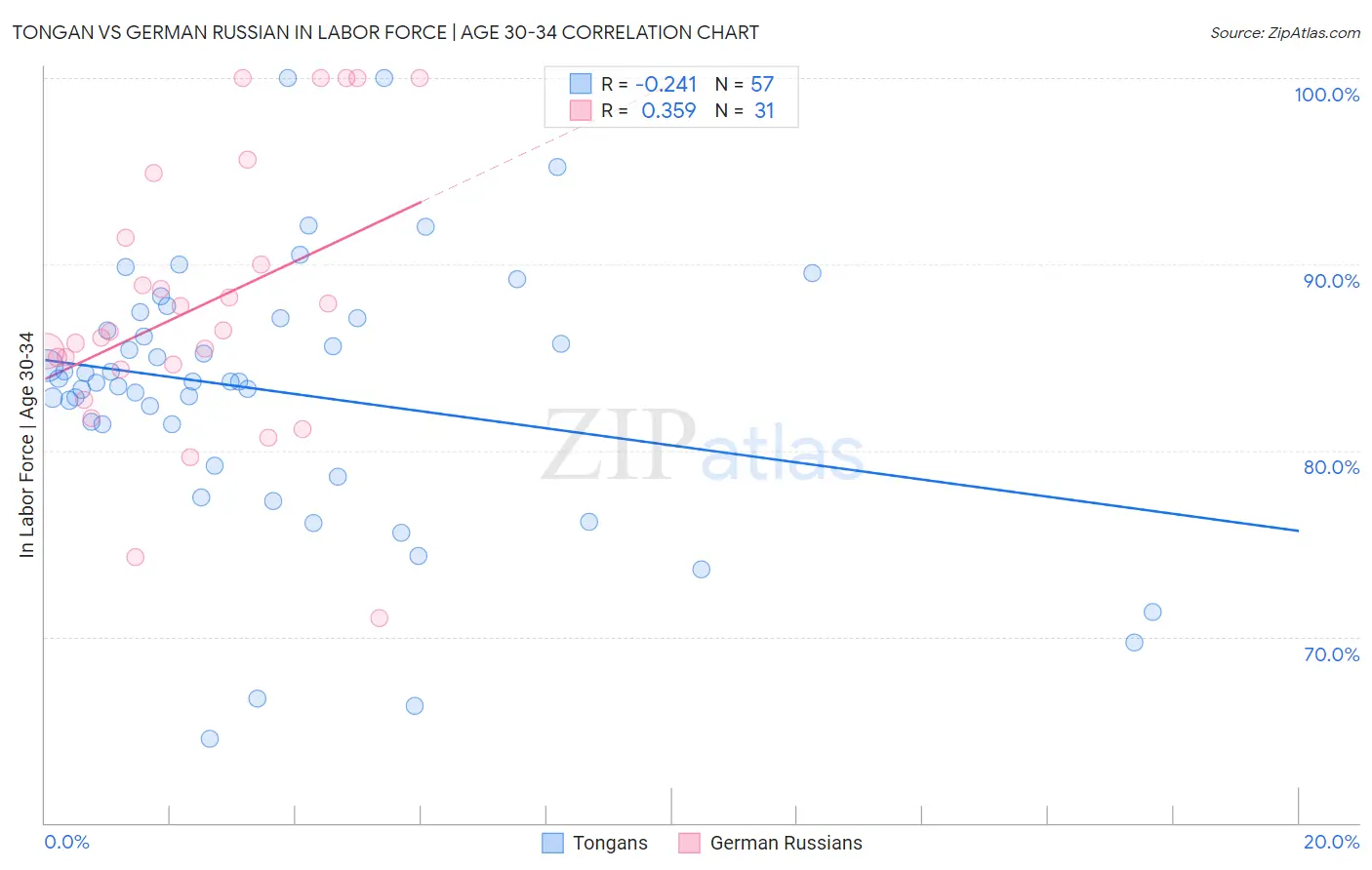 Tongan vs German Russian In Labor Force | Age 30-34