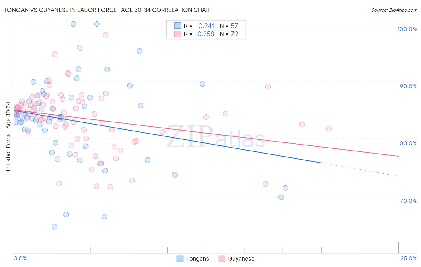 Tongan vs Guyanese In Labor Force | Age 30-34