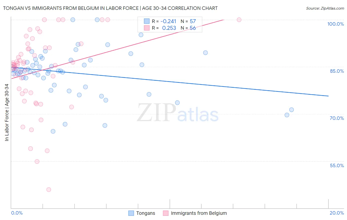 Tongan vs Immigrants from Belgium In Labor Force | Age 30-34