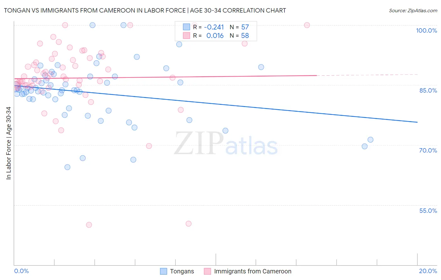 Tongan vs Immigrants from Cameroon In Labor Force | Age 30-34