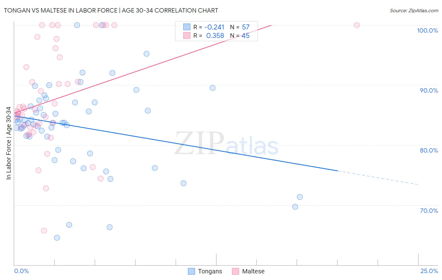 Tongan vs Maltese In Labor Force | Age 30-34