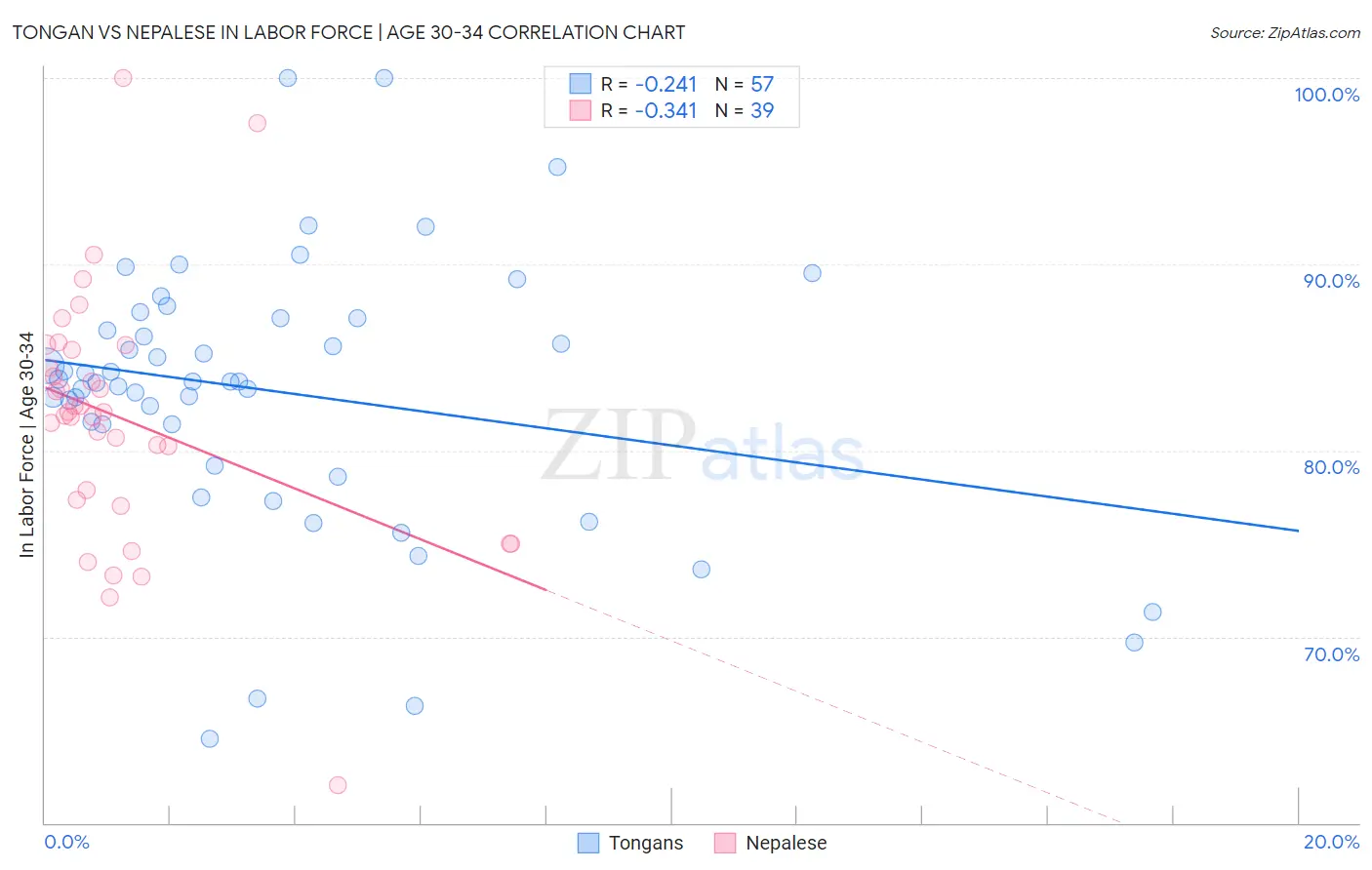 Tongan vs Nepalese In Labor Force | Age 30-34