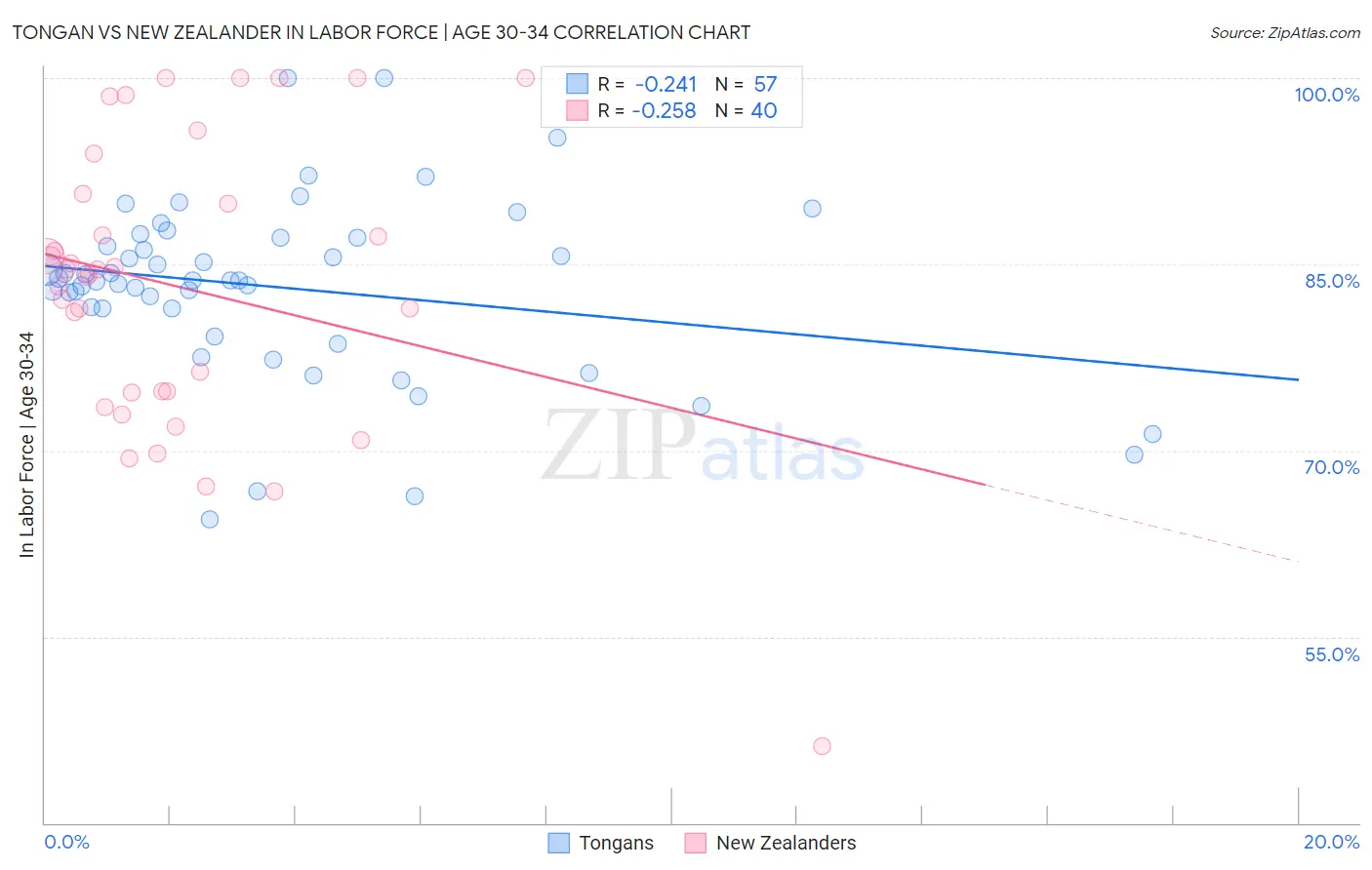 Tongan vs New Zealander In Labor Force | Age 30-34