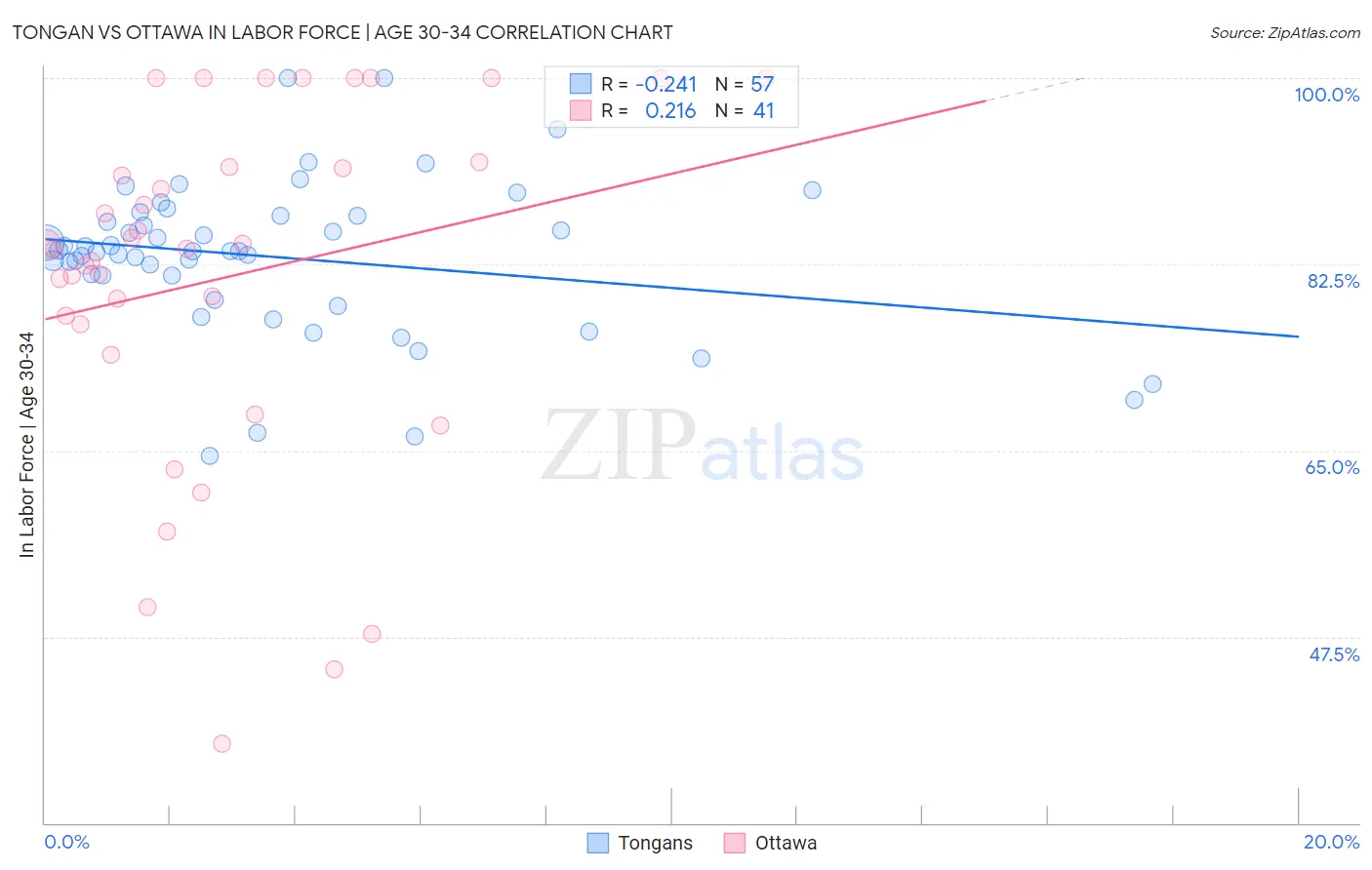 Tongan vs Ottawa In Labor Force | Age 30-34