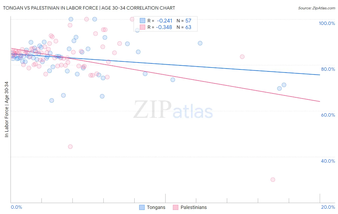 Tongan vs Palestinian In Labor Force | Age 30-34