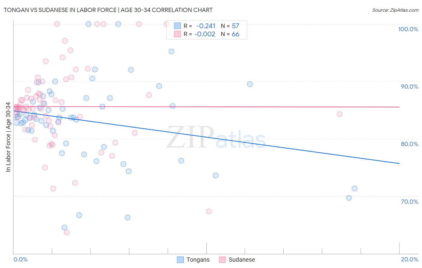 Tongan vs Sudanese In Labor Force | Age 30-34