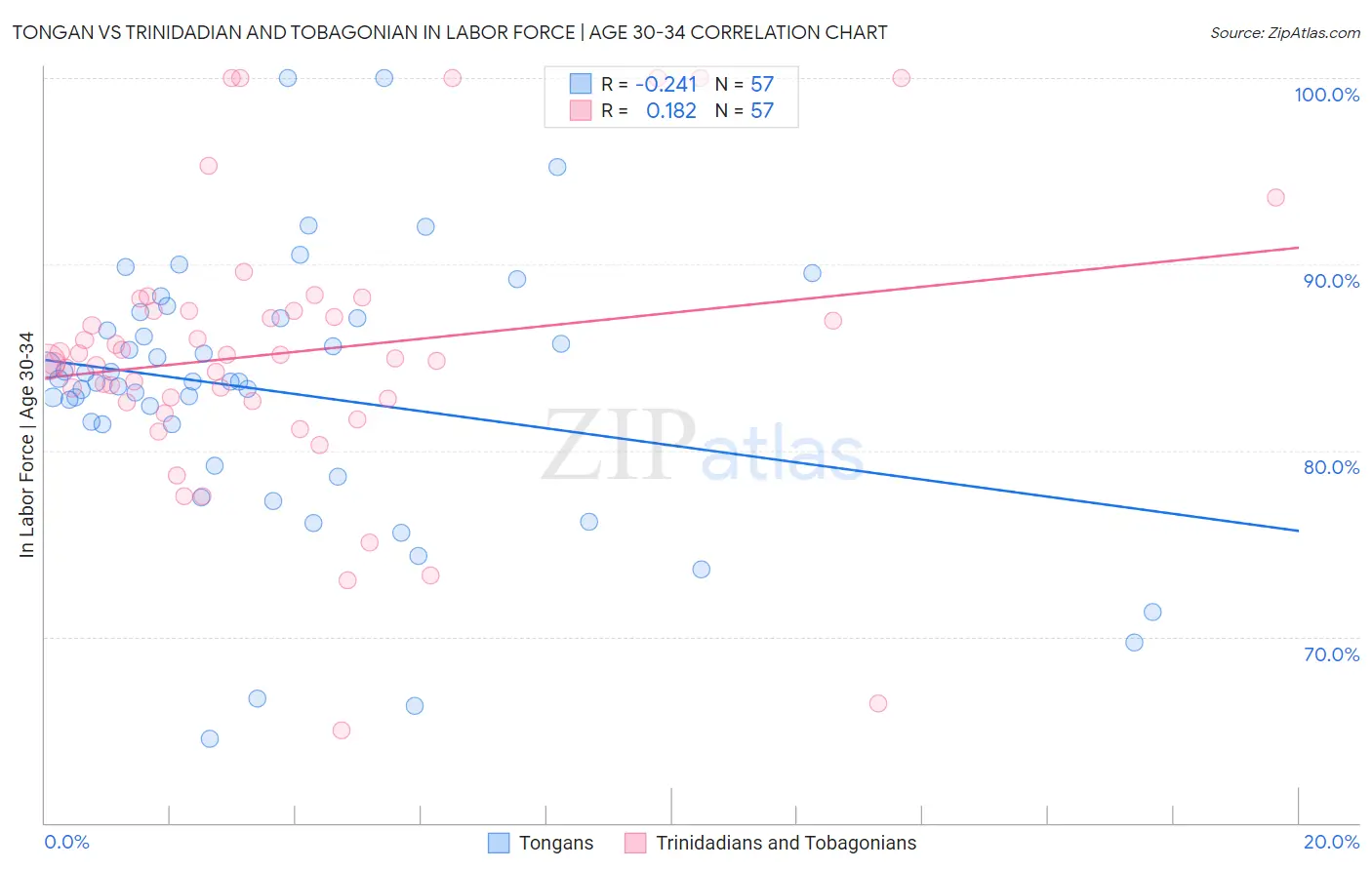 Tongan vs Trinidadian and Tobagonian In Labor Force | Age 30-34