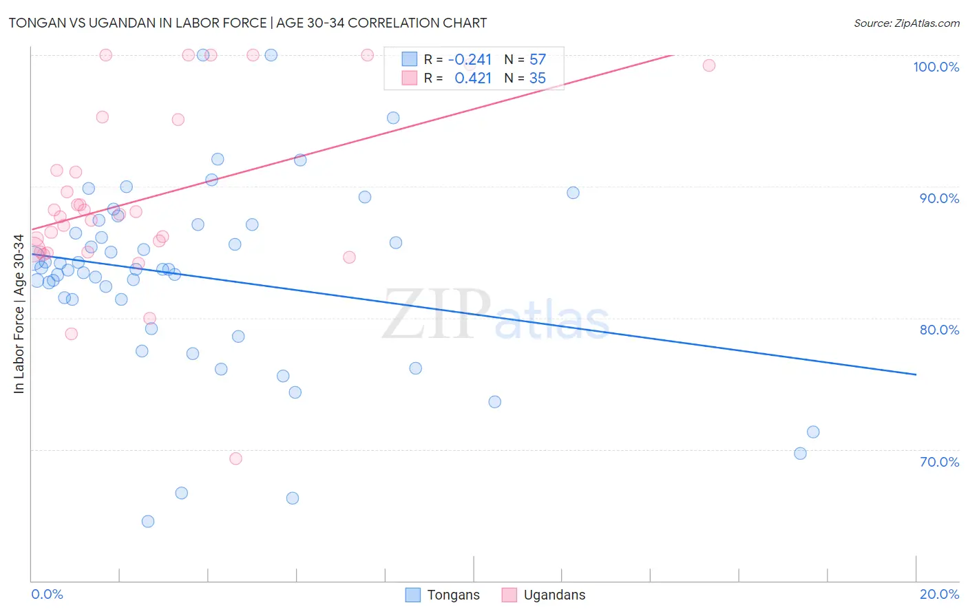 Tongan vs Ugandan In Labor Force | Age 30-34