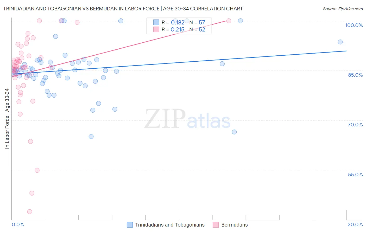 Trinidadian and Tobagonian vs Bermudan In Labor Force | Age 30-34