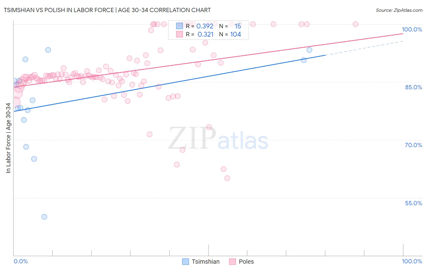 Tsimshian vs Polish In Labor Force | Age 30-34