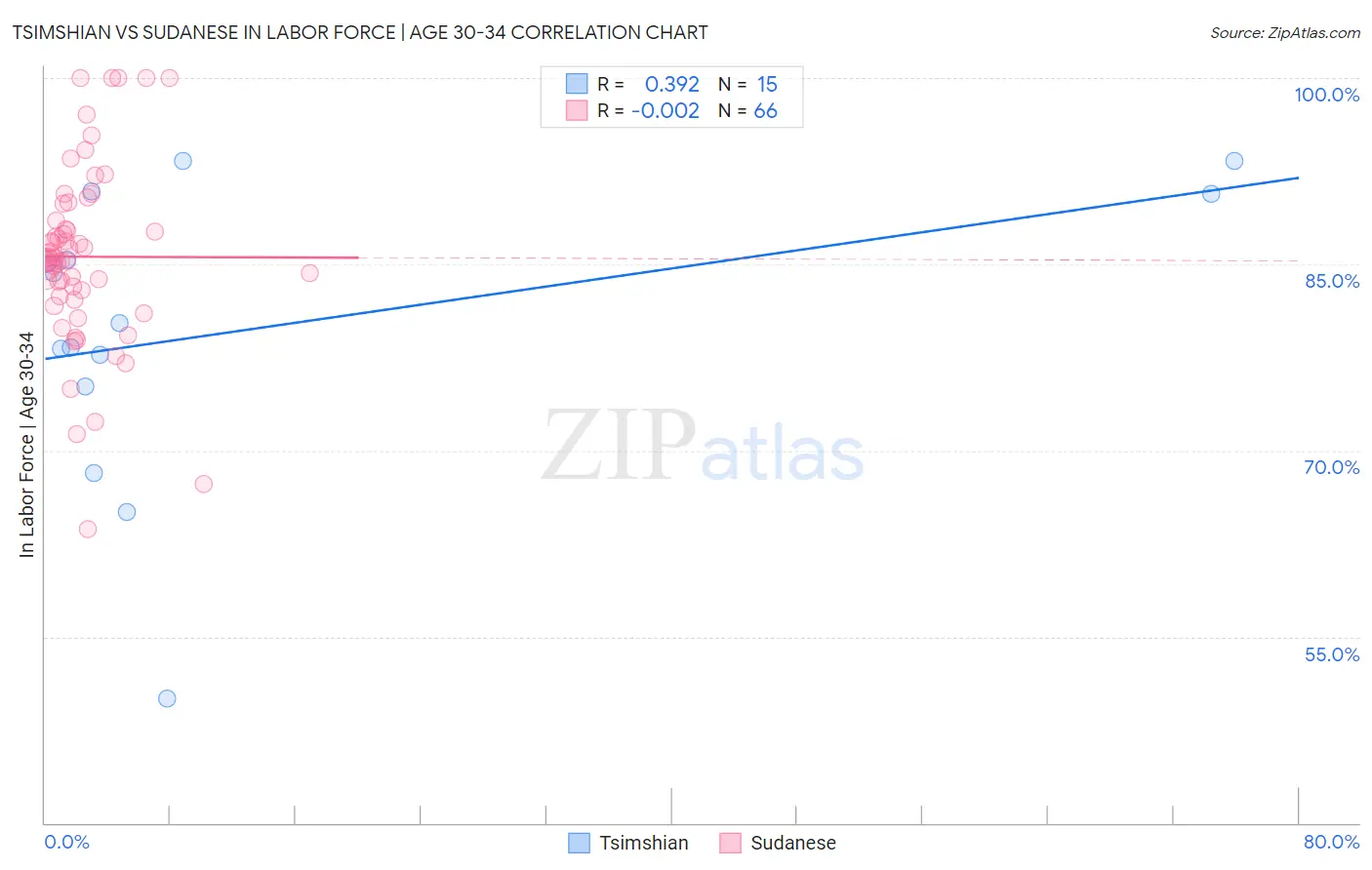Tsimshian vs Sudanese In Labor Force | Age 30-34