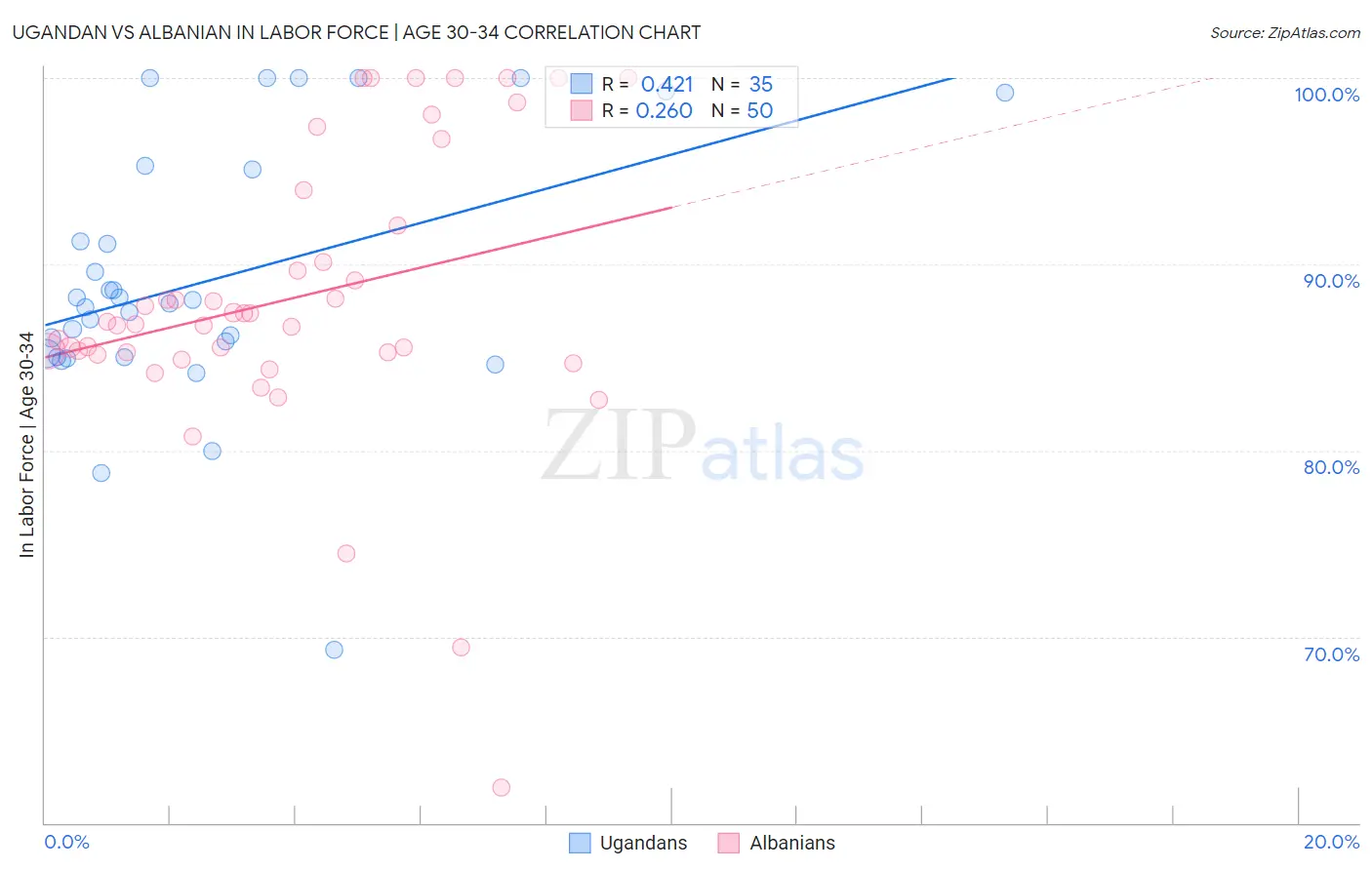 Ugandan vs Albanian In Labor Force | Age 30-34