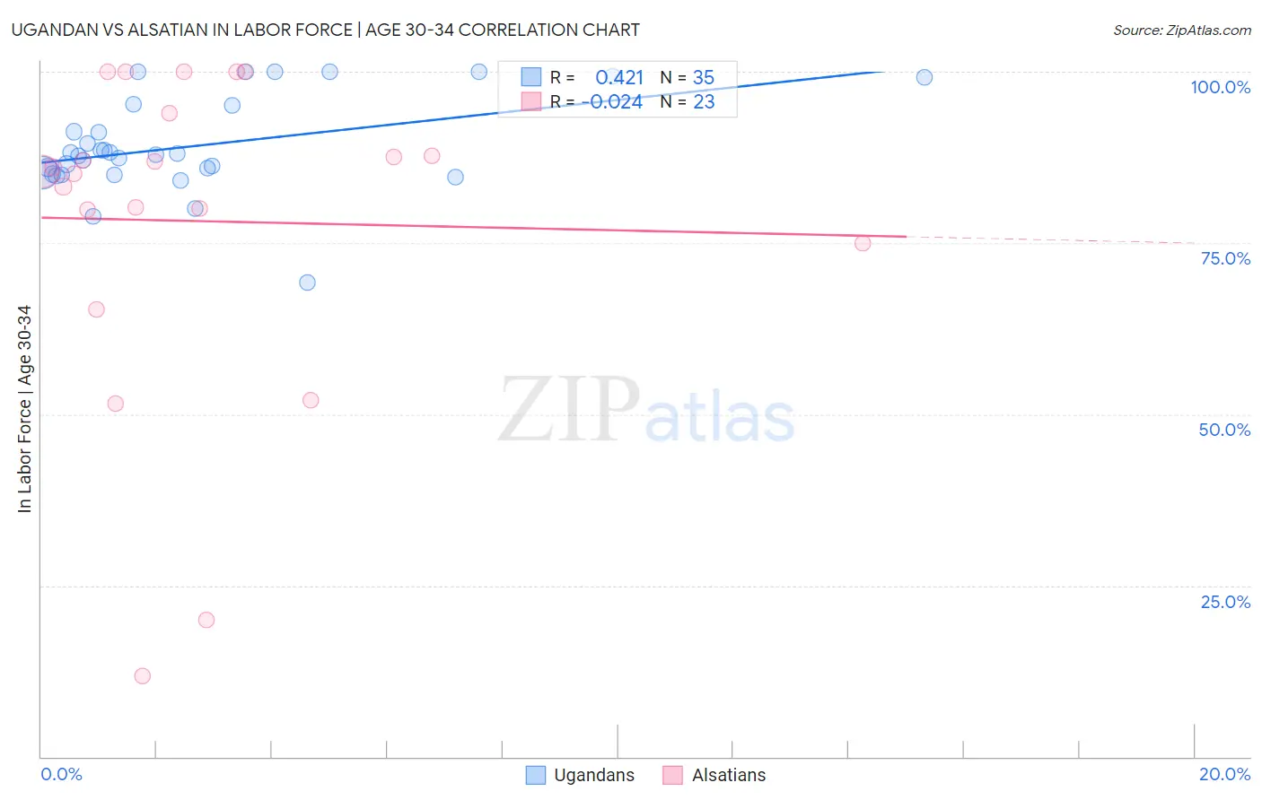 Ugandan vs Alsatian In Labor Force | Age 30-34