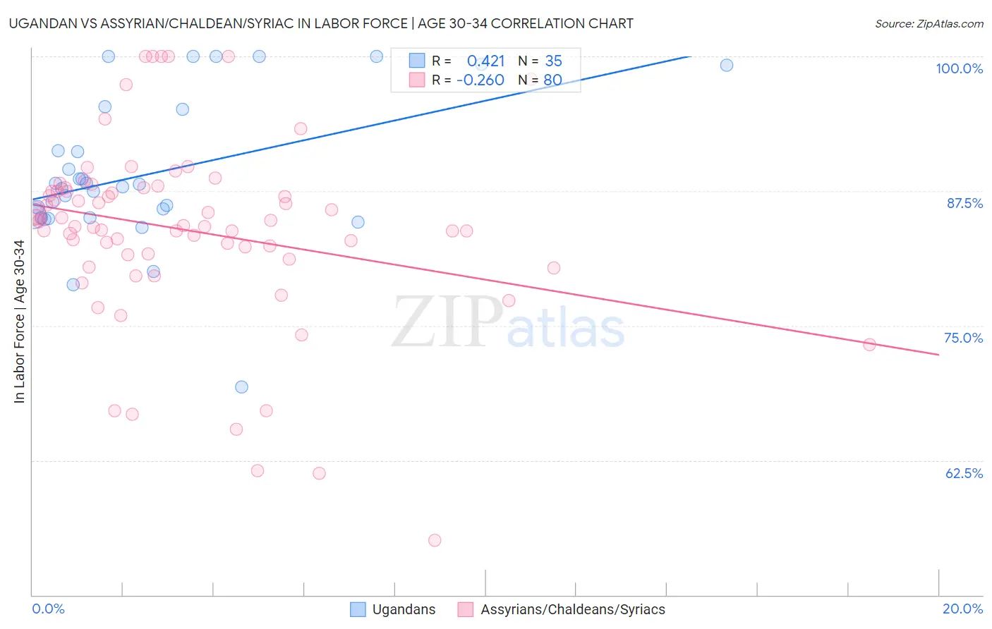 Ugandan vs Assyrian/Chaldean/Syriac In Labor Force | Age 30-34