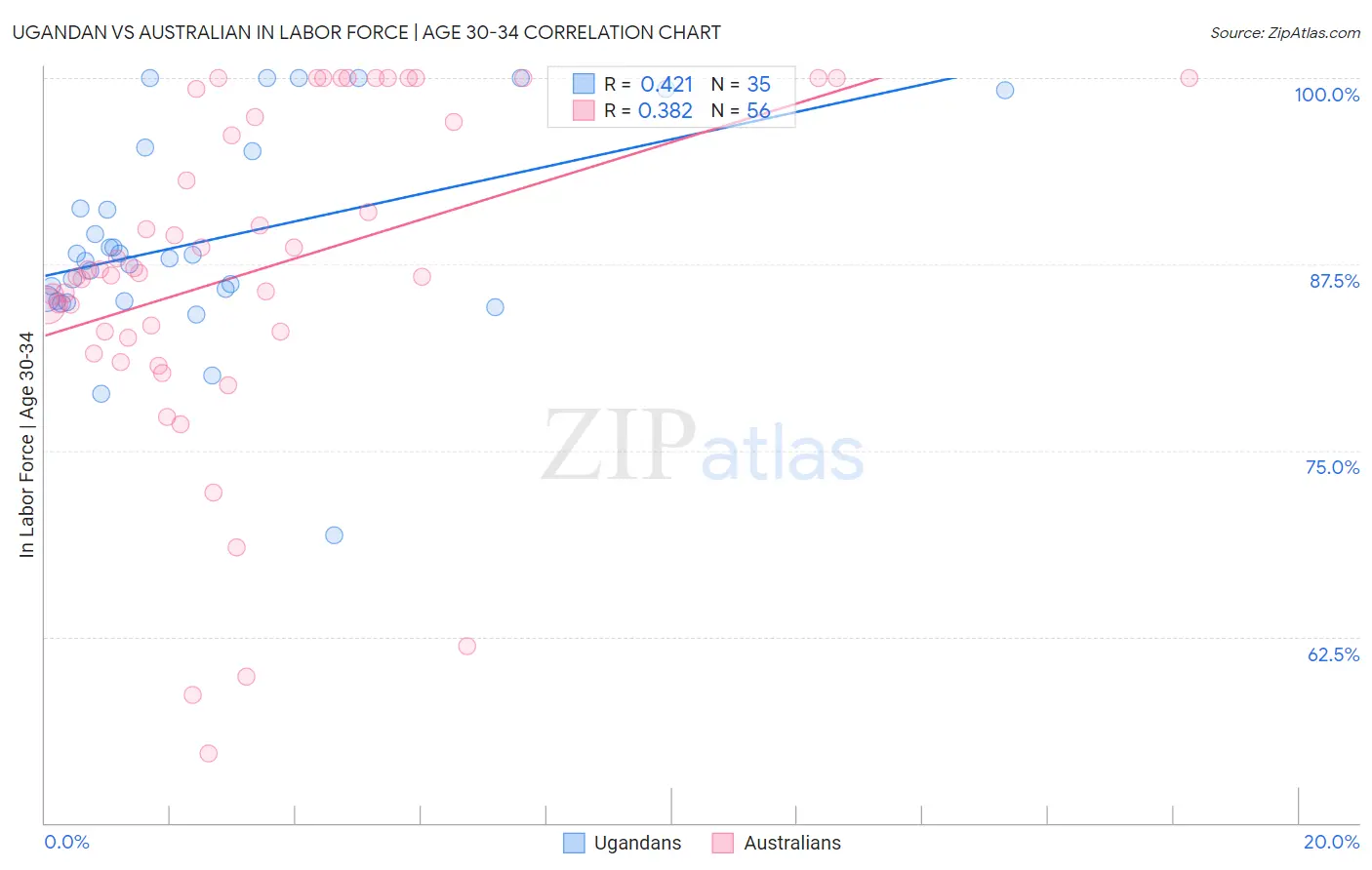 Ugandan vs Australian In Labor Force | Age 30-34