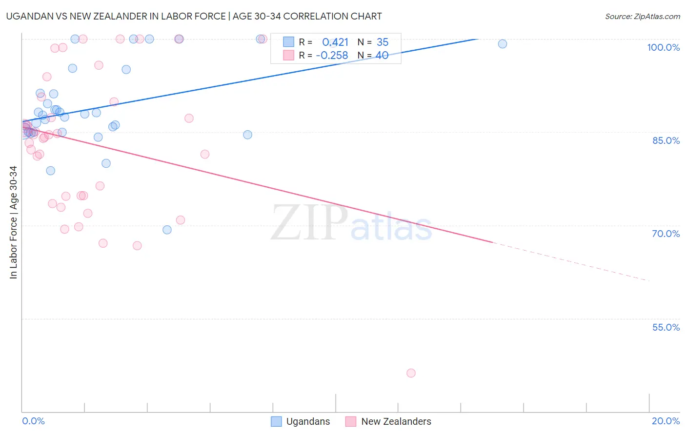 Ugandan vs New Zealander In Labor Force | Age 30-34