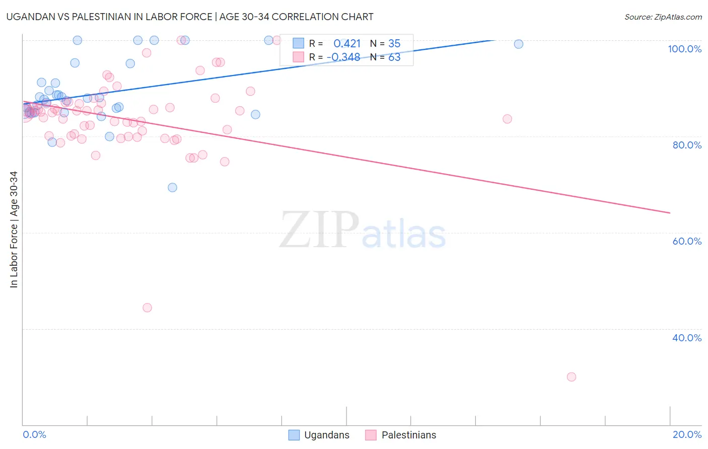 Ugandan vs Palestinian In Labor Force | Age 30-34