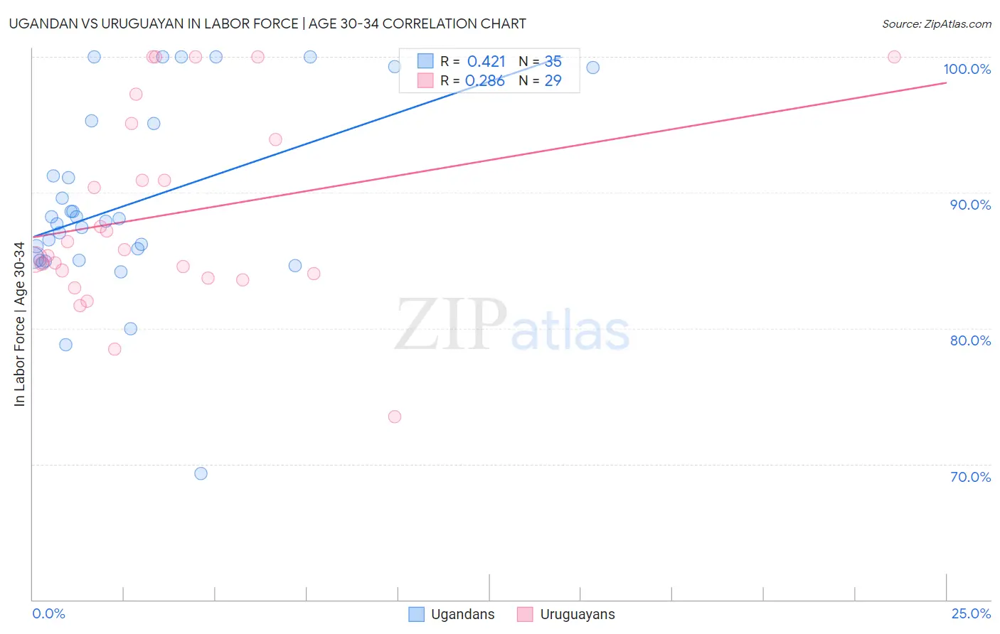 Ugandan vs Uruguayan In Labor Force | Age 30-34