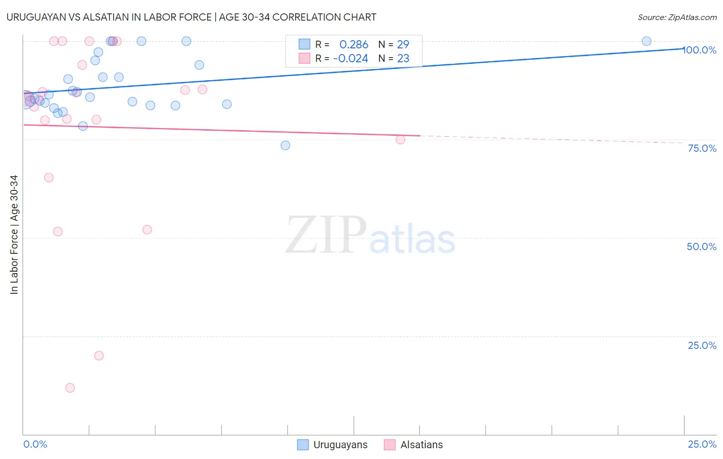Uruguayan vs Alsatian In Labor Force | Age 30-34