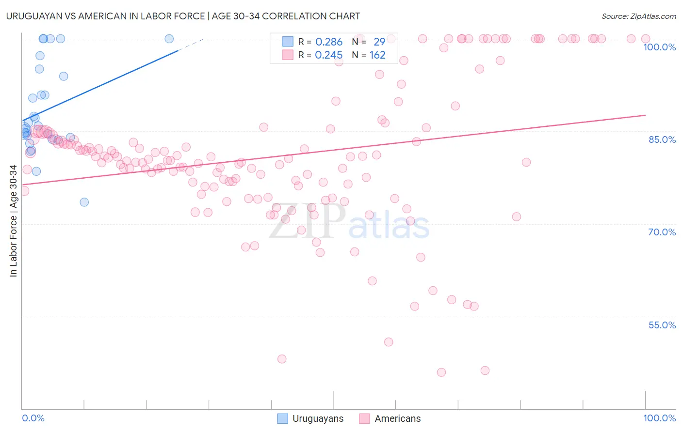 Uruguayan vs American In Labor Force | Age 30-34