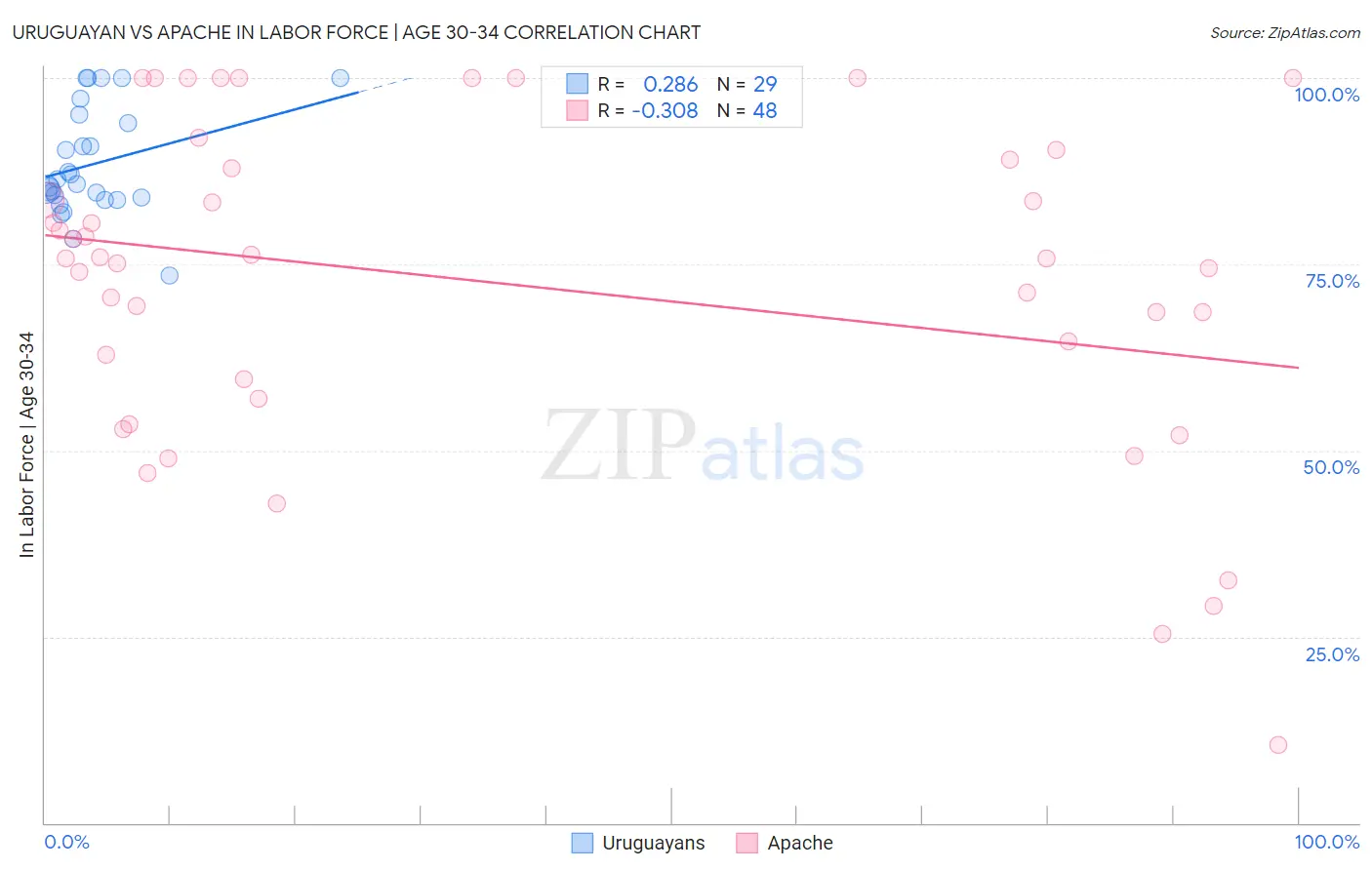 Uruguayan vs Apache In Labor Force | Age 30-34