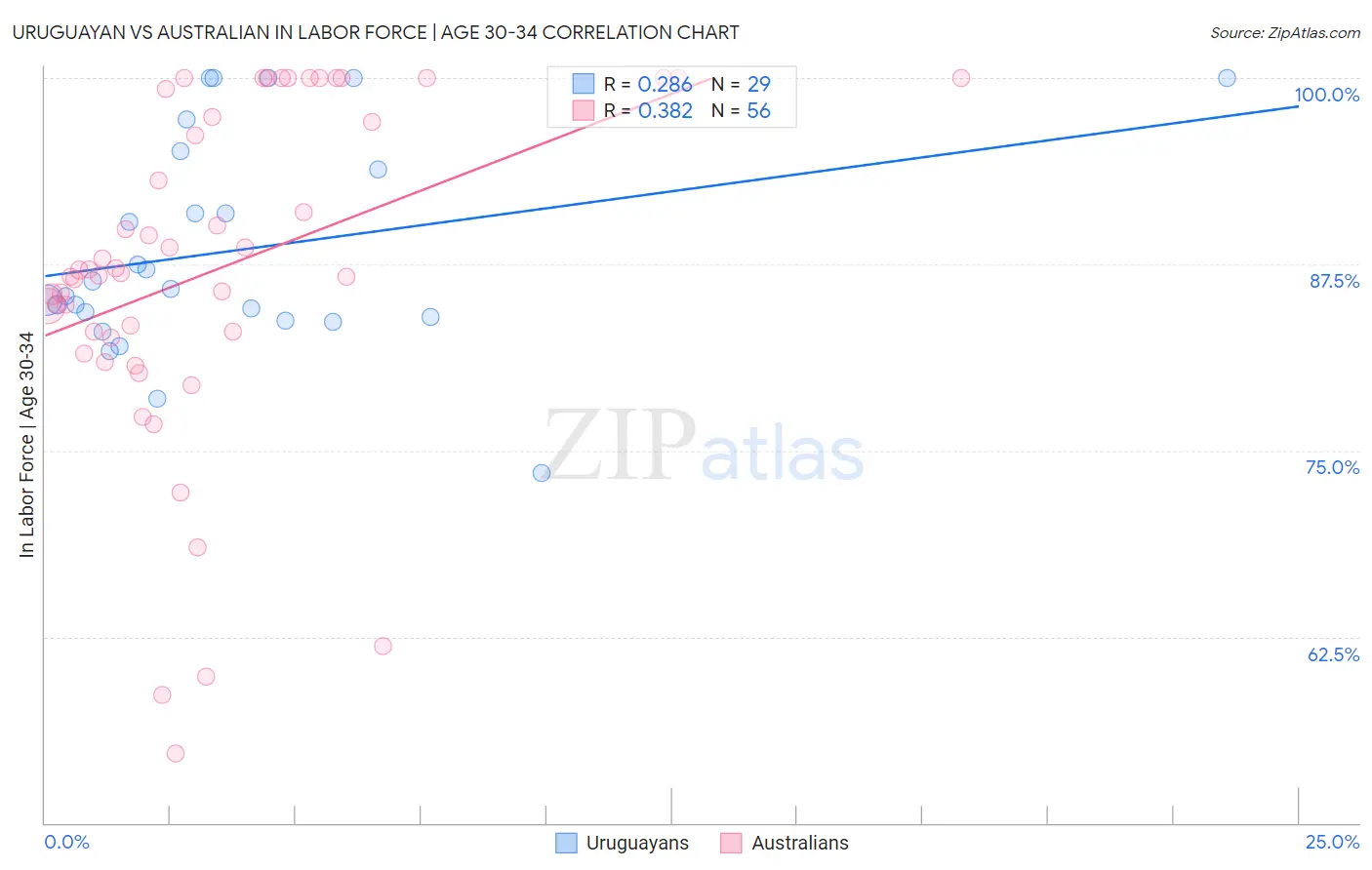 Uruguayan vs Australian In Labor Force | Age 30-34