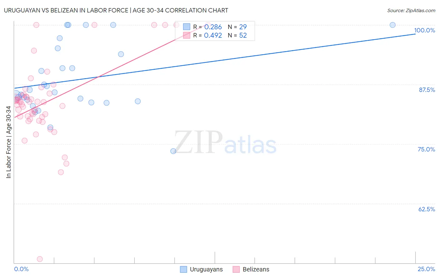 Uruguayan vs Belizean In Labor Force | Age 30-34